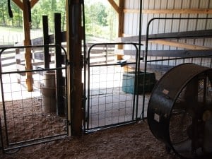 Stall fronts and automatic waterer