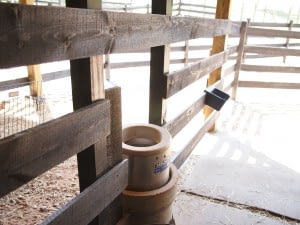 automatic waterer
