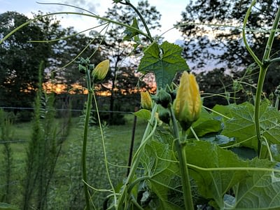 image0011