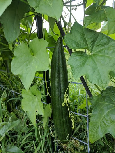 image0011
